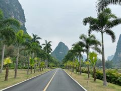 -明仕田园