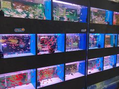 -三旗百汇商品城