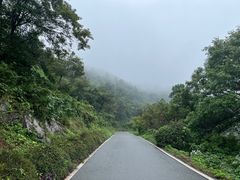 -南京老山国家森林公园