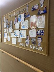 -上海首尔丽格医疗美容医院