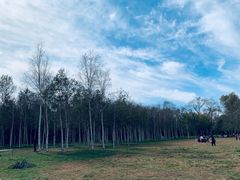 -长春市南湖公园