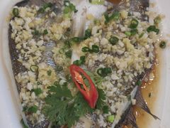 连州老姜蒸海鲈-榕记(番禺总店)