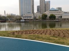-后襄河公园