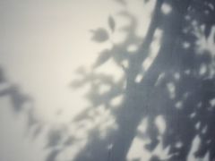 -溪口-滕头旅游景区