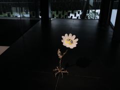 -知美术馆