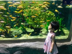 -石家庄极地海洋世界