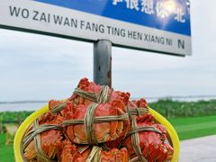 -七的湖·晚芳亭·阳澄湖农家菜·大闸蟹(莲花岛店)