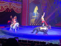 -珠海横琴长隆《卡卡虎奇遇记》