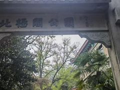 -北极阁公园