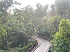 -圣淘沙天际线斜坡滑车