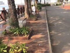 -万绿园