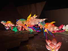 -武汉园博园(武汉自然博物馆)