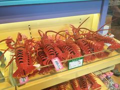 -秦皇岛乐岛海洋王国