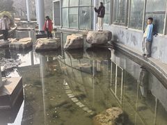 -郑州植物园