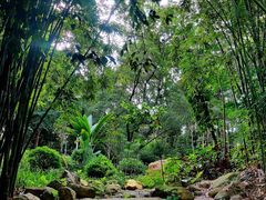 -人民公园(罗湖区)