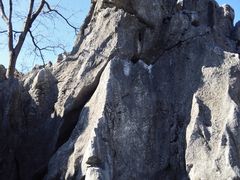 -千岛湖石林