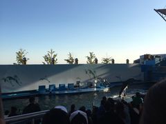 -秦皇岛新澳海底世界