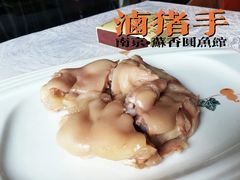 -丁老爷子苏香圆