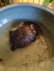 -威思丽高温瑜伽会馆