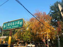 -三里屯东五街银杏大道