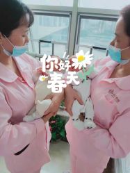 -东方幸福国际母婴月子会所(沙湾公园店)