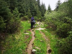 -山丹皇家马场