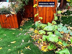 -梅间堂茶馆(绿地缤纷城店)