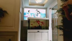 -非常六加一儿童摄影(同安店)