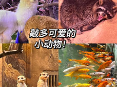 -正佳极地海洋世界