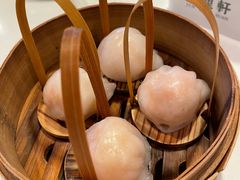 -金鼎轩(亚运村店)