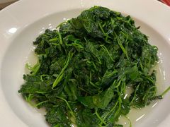 扒草头-王宝和酒家(黄浦店)