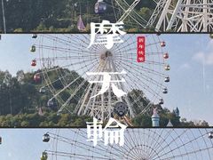 -温州乐园