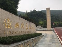 -铁山坪森林公园