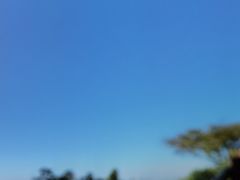 -鱼乐岛餐厅·户外花园主题餐厅