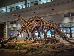-自贡恐龙博物馆