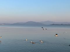 -深圳湾公园(南山区)