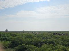 -北海金海湾红树林生态旅游区