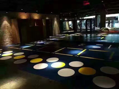 -金吉鸟健身游泳