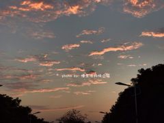 景点-风云岭森林公园