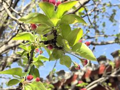 -齐白石旧居纪念馆