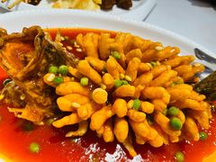 松鼠桂鱼-峨嵋酒家总店(车公庄店)