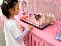 -上品折扣(回龙观店)