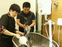 -PETKIT小佩宠物(古北店)