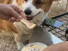 -J Create城市露营咖啡·简餐·宠物(上海动物园店)