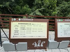 -西双版纳原始森林公园