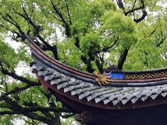 -阿育王寺