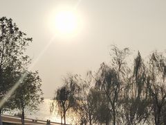 -滨江生态公园