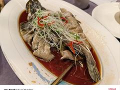 -京悦荟·京沪融合菜(漕河泾印象城店)