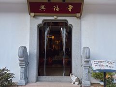 -曾福兴