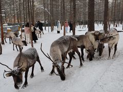 -北极村旅游风景区